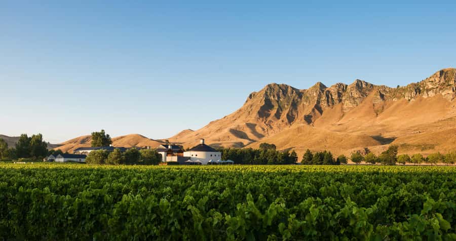 Hawke's Bay: Self Guided Coast to Vineyards Cycle Tour - Following the Tukituki River valley inland