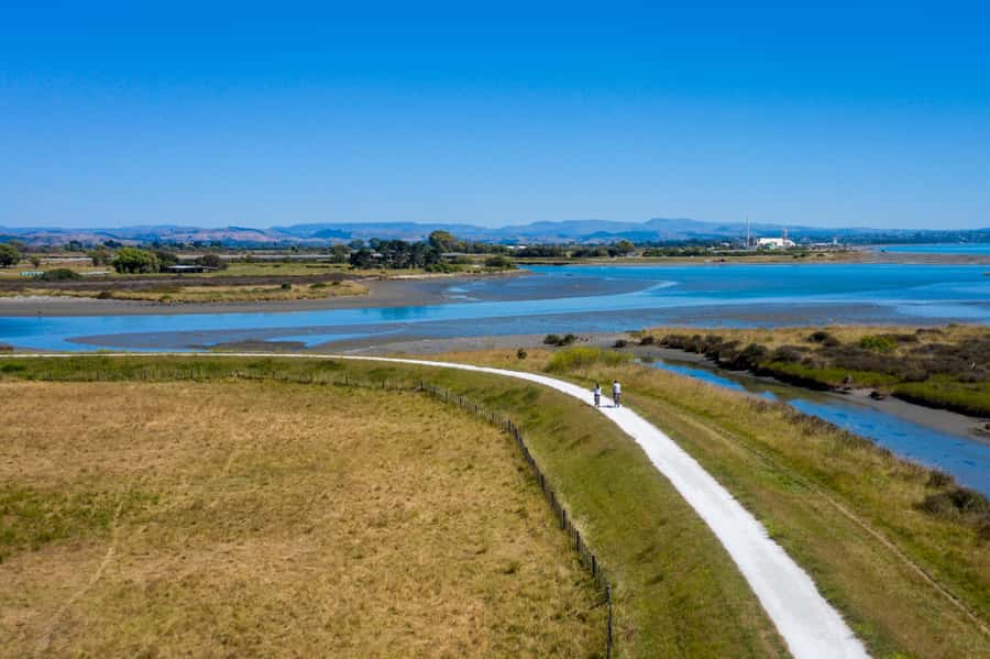 Hawke's Bay: Self Guided Coast to Vineyards Cycle Tour - What the strong and weaker feedback tells you