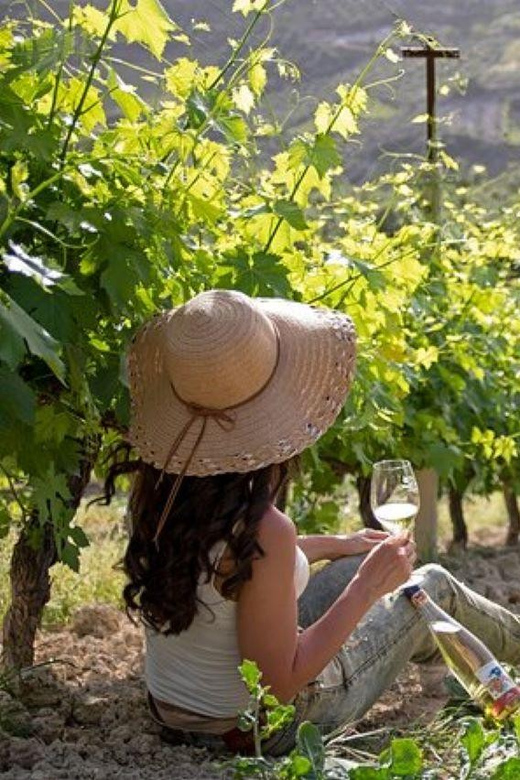 HERAKLION: Wine tasting at Douloufakis Vineyards ARISMARI - Is $53 a fair price?