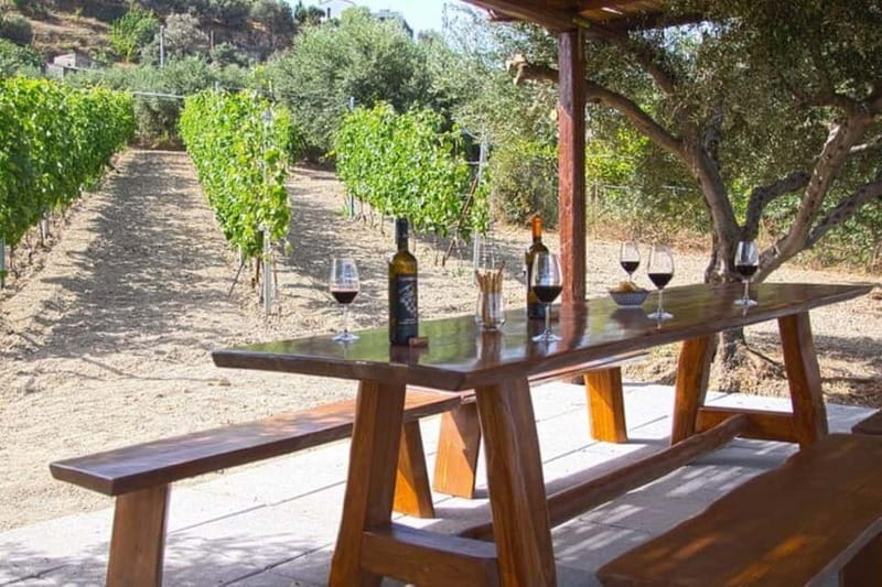 HERAKLION: Wine tasting at Douloufakis Vineyards ARISMARI - Six wines, with Cretan grapes in the glass