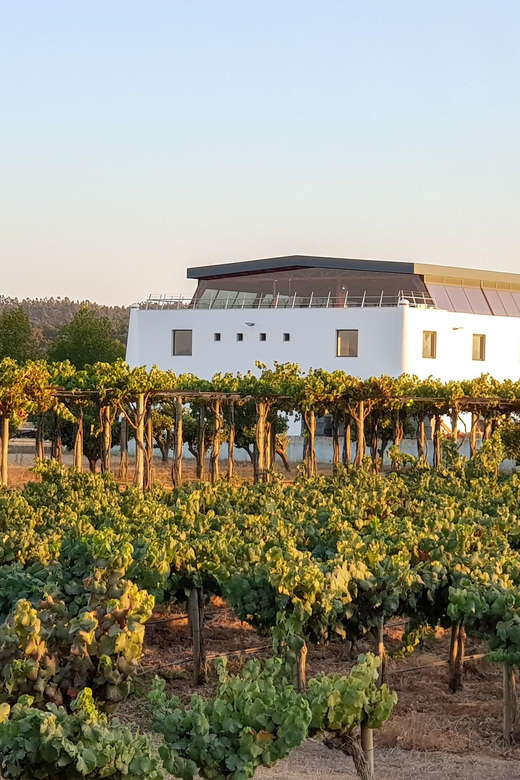 Herdade Canal Caveira - Winery Visit 4 Wines & Tapas - Practical details for planning your stop
