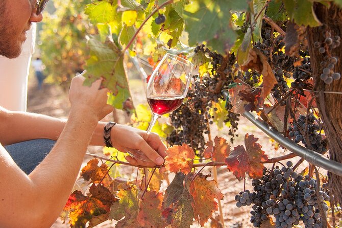 High-End Vineyard Escape: Cava, Tapas & Wine | Private Tour - Leaving Barcelona for Catalan wine country