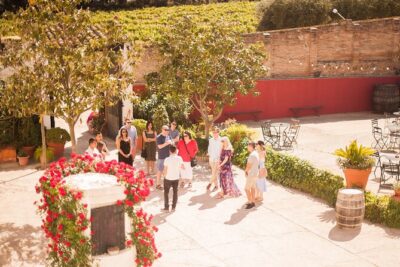 High-End Vineyard Escape: Cava, Tapas & Wine | Private Tour