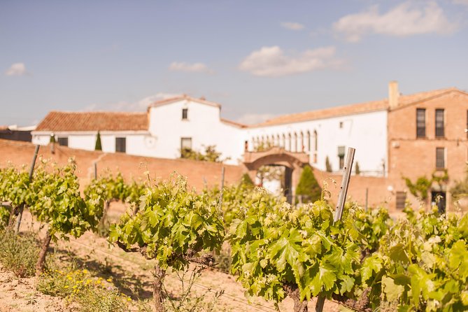 High-End Vineyard Escape: Cava, Tapas & Wine | Private Tour - Price and value at $598.87 per person