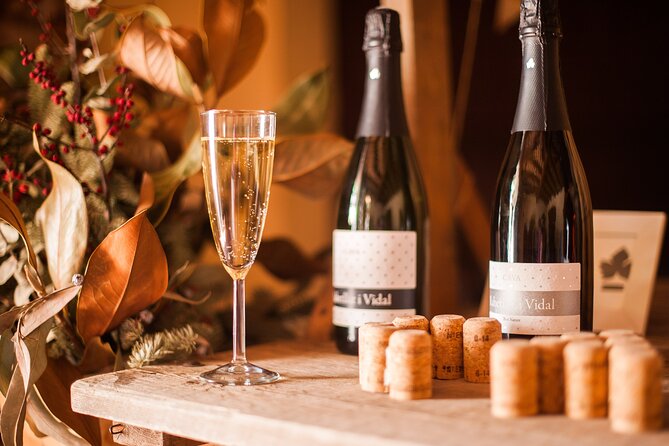High-End Vineyard Escape: Cava, Tapas & Wine | Private Tour - Clothing, accessibility, and small practical details