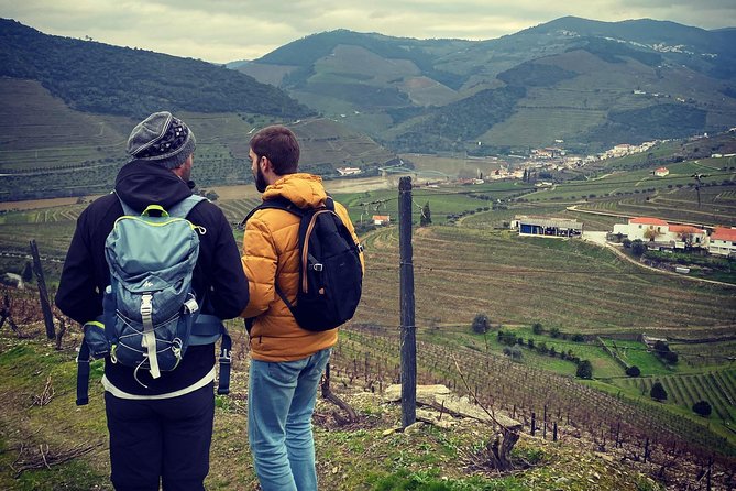 HIKING in the Douro Valley - Optional Boat Cruise on the Douro
