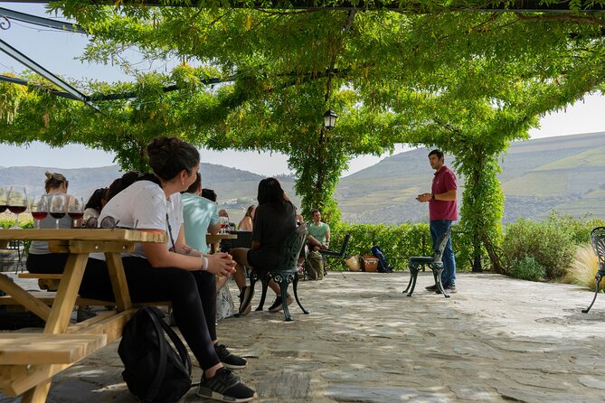 HIKING in the Douro Valley - Guides Make a Big Difference