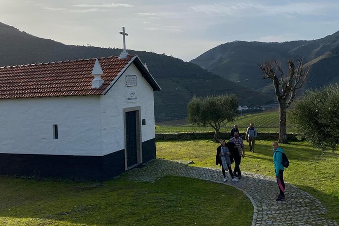 HIKING in the Douro Valley - Four Hours Among Vineyards and Olive Groves