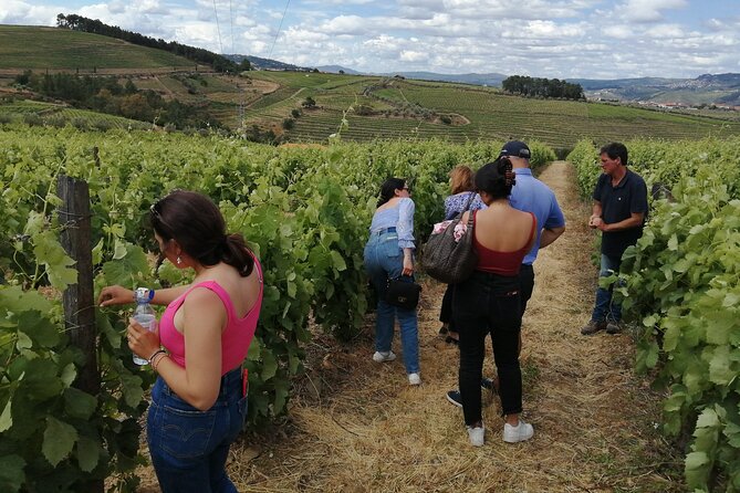 Hiking Through Douro Valley Wine Region - The gentlest route from Provesende to Pinhão