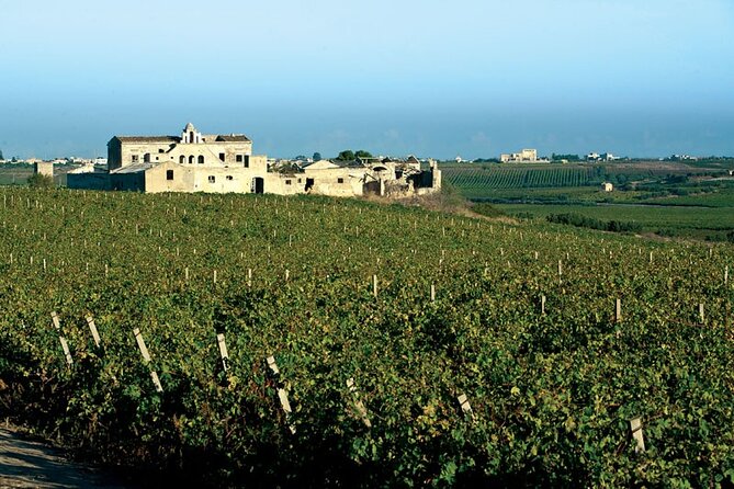 Historic winery visit with food and wine tasting in Marsala - Starting at Alagna Vini on Via Salemi