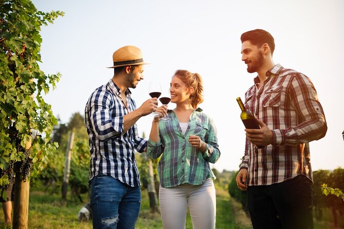 Historic winery visit with food and wine tasting in Marsala - Who will enjoy this most?