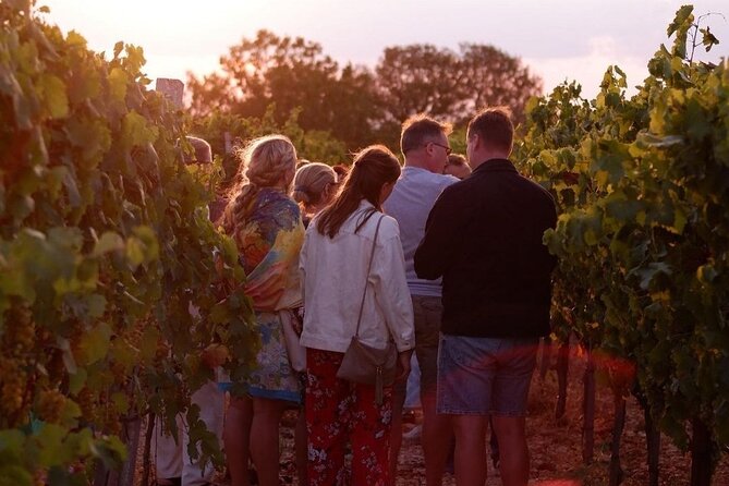 History & Local Wines: Amphitheater, Mitrium and Winery Visit - A winery beneath the presence of Vesuvius