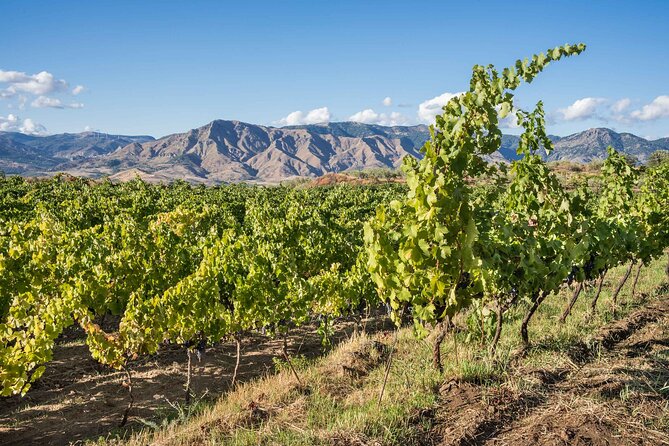 History & Local Wines: Amphitheater, Mitrium and Winery Visit - Who should book this outing?