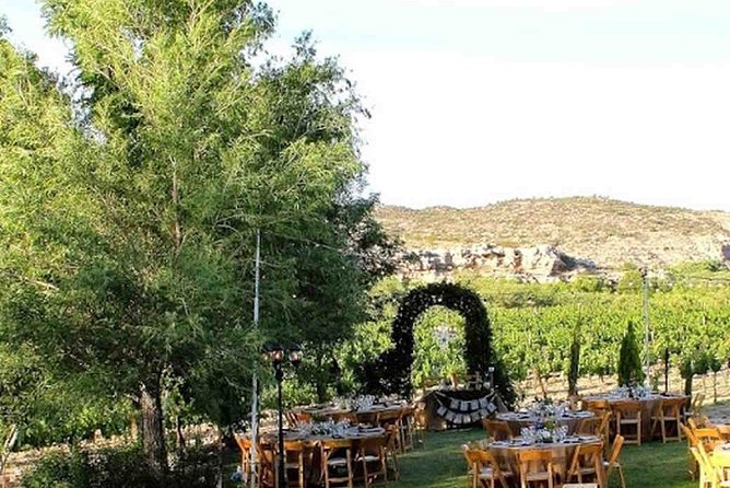 Horse Country Estate and Vineyard Wine Tasting Tour - Key points to know before booking