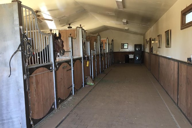 Horse Country Estate and Vineyard Wine Tasting Tour - Meeting Laura Hanson in a Mercedes van