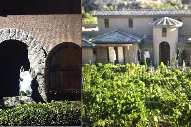 Horse Country Estate and Vineyard Wine Tasting Tour - Visiting the private equestrian estate