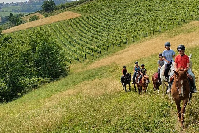 Horse Riding Adventure in Langhe: Piemonte's Scenic Vineyards - Key points to know before booking