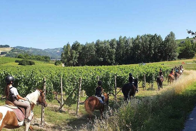 Horse Riding Adventure in Langhe: Piemonte's Scenic Vineyards - Starting from San Marzano Oliveto