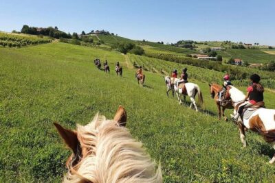 Horse Riding Adventure in Langhe: Piemonte’s Scenic Vineyards