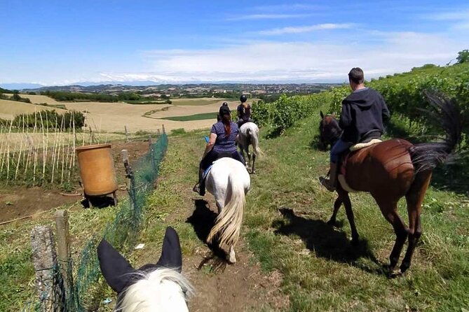 Horse Riding Adventure in Langhe: Piemonte's Scenic Vineyards - Riding among the Langhe and Monferrato hills