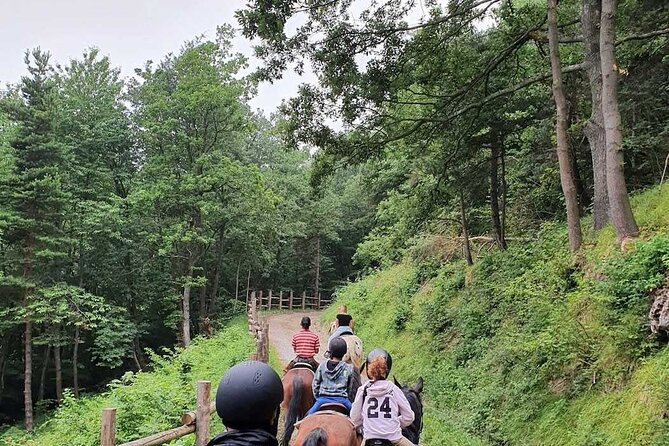 Horse Riding Adventure in Langhe: Piemonte's Scenic Vineyards - A good choice for families with children
