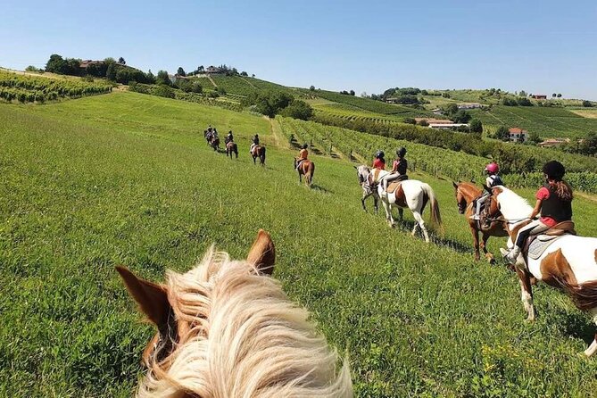 Horse Riding Adventure in Langhe: Piemonte's Scenic Vineyards - What the one-hour ride is really like
