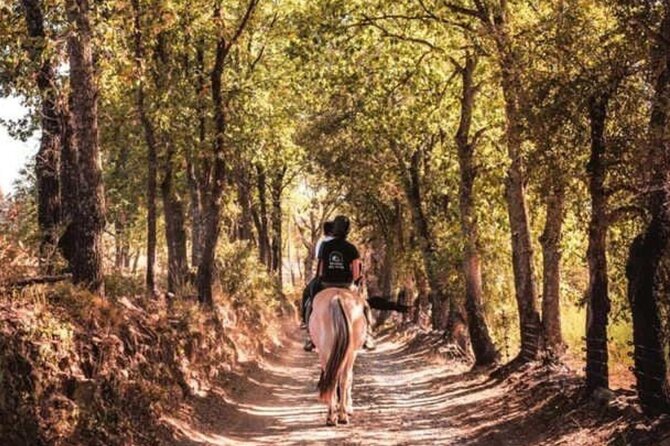 Horse riding in the vineyards of Grimaud + wine tasting - Why Grimaud makes a good riding base