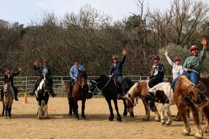 Horse riding in the vineyards of Grimaud + wine tasting - The vineyards and Maures forest