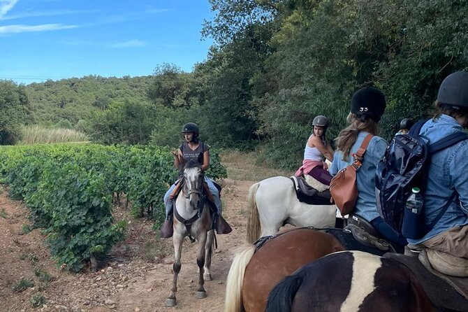 Horse riding in the vineyards of Grimaud + wine tasting - Who should book this experience?