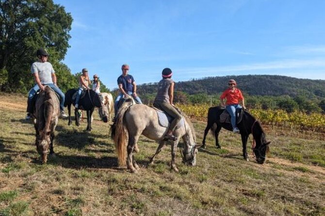 Horse riding in the vineyards of Grimaud + wine tasting - Sonia and the value of patient instruction
