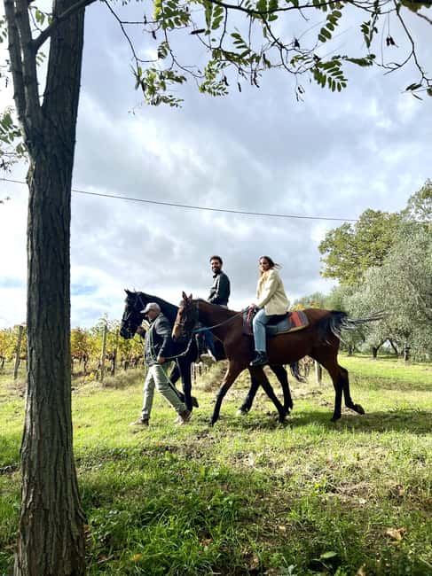 Horseback Ride Through the Vineyards of Montepulciano - Riding among Montepulciano’s vineyards and olive trees