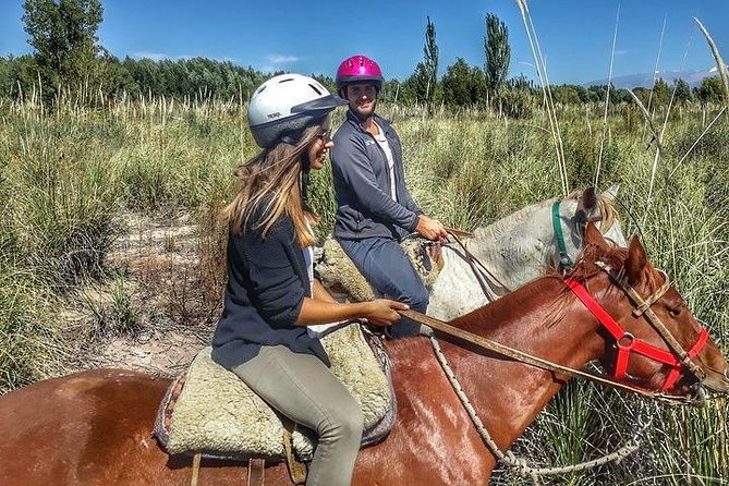 Horseback ride through vineyards followed by gourmet lunch - The drive from Mendoza City to Lunlunta