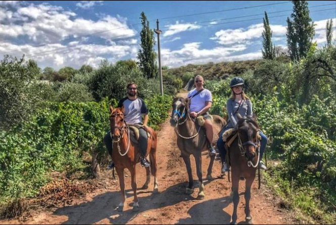 Horseback ride through vineyards followed by gourmet lunch - The move to Club Tapiz and Terruño
