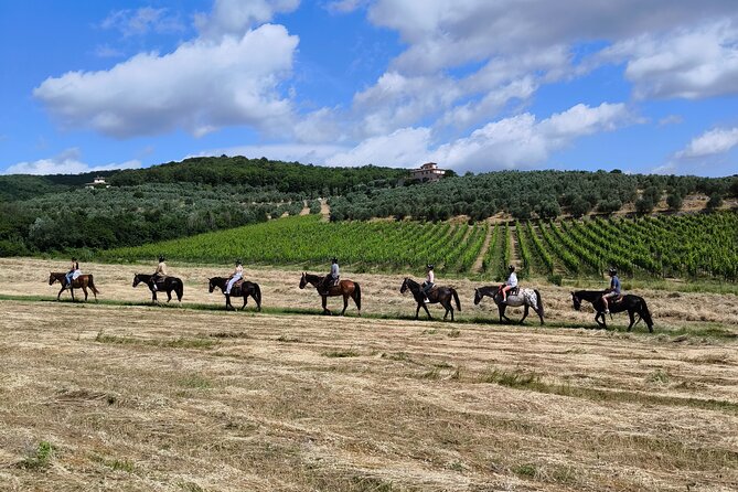 Horseback Riding in the Vineyards - Key points at a glance