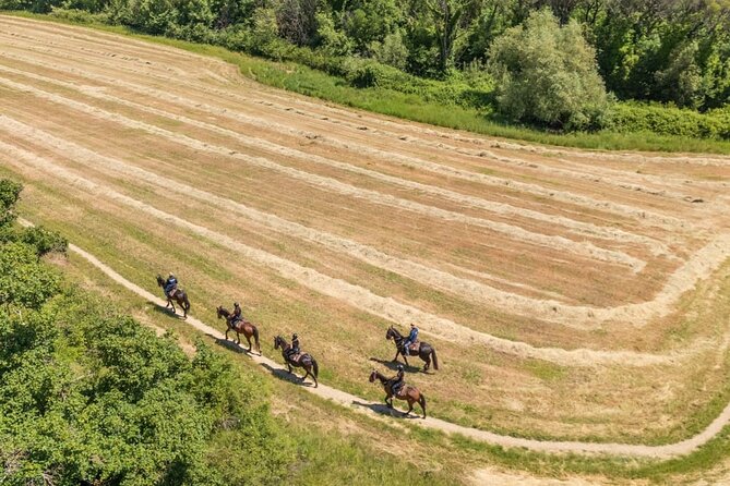 Horseback Riding in the Vineyards - Getting acquainted with your horse
