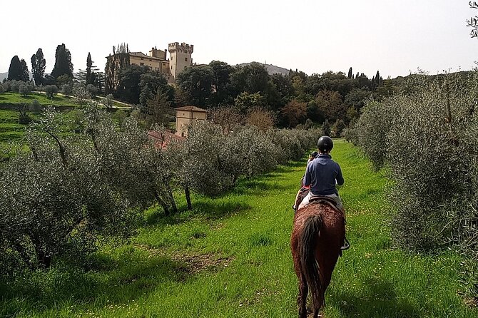 Horseback Riding in the Vineyards - Riding through Torre a Cona Vineyards