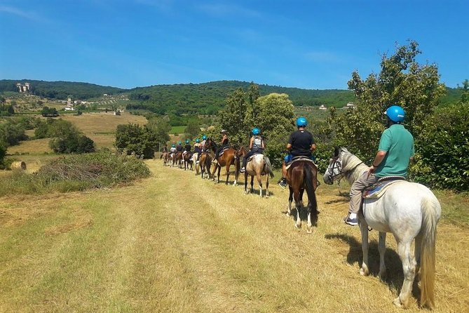 Horseback Riding in the Vineyards - What the one-hour trail ride feels like