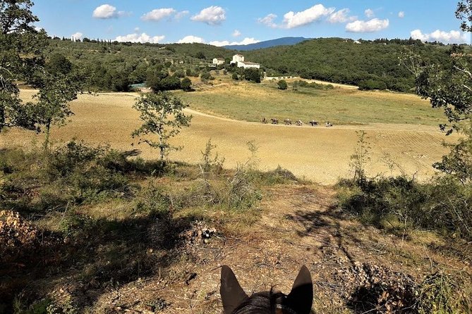 Horseback Riding in the Vineyards - Returning to the ranch and the group photo