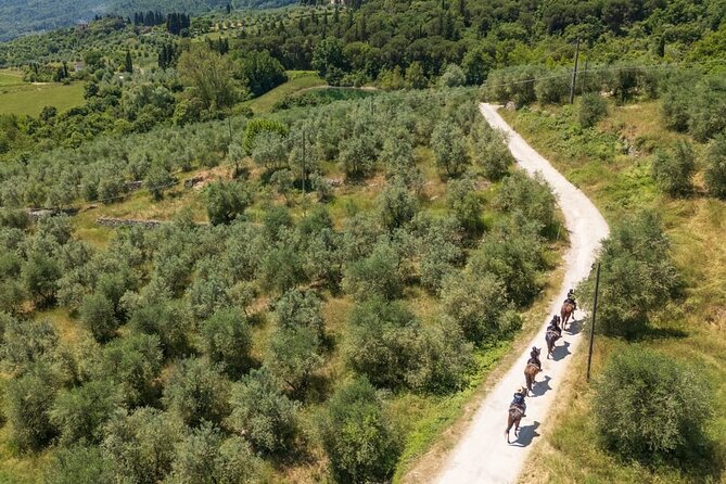 Horseback Riding in the Vineyards - What the $96.12 price includes