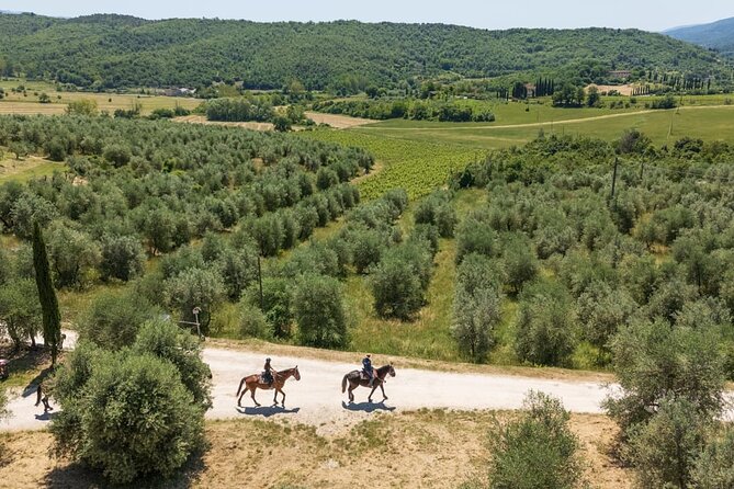 Horseback Riding in the Vineyards - Weather, cancellation, and planning