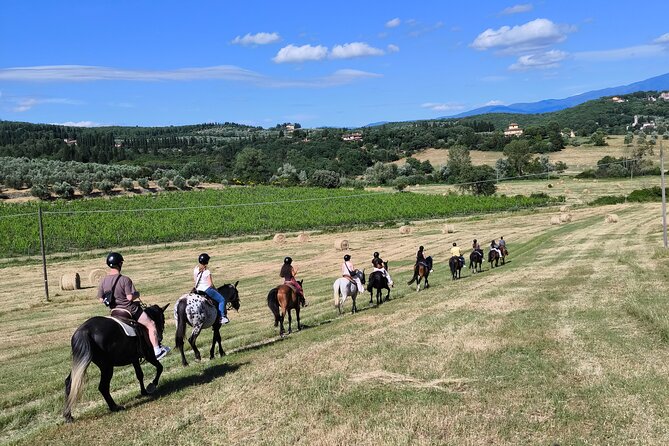 Horseback Riding in the Vineyards - The 25-minute practice session