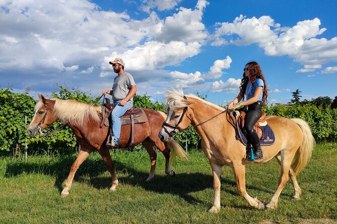 Horseback Riding with wine tasting in Lake Garda vineyards - Key points at a glance