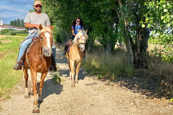 Horseback Riding with wine tasting in Lake Garda vineyards - The second hour: vineyards around Castelnuovo del Garda