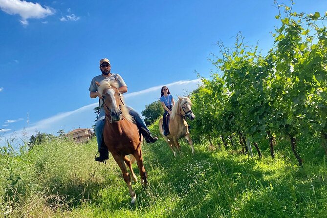 Horseback Riding with wine tasting in Lake Garda vineyards - What the $157.21 price really buys