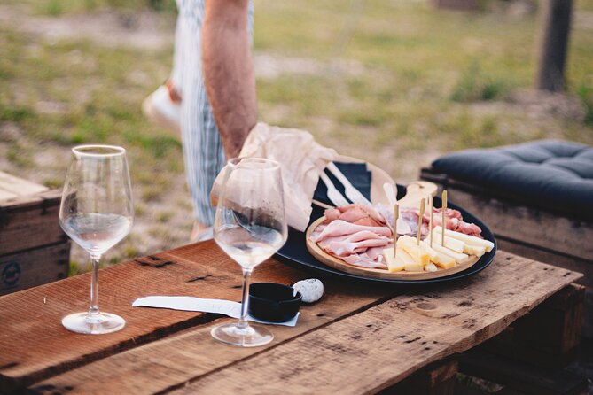 Horseback Riding with wine tasting in Lake Garda vineyards - Who should book this countryside experience?