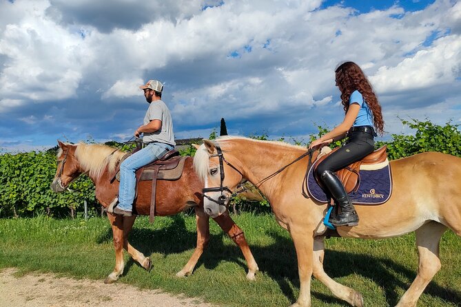 Horseback Riding with wine tasting in Lake Garda vineyards - Practical details that can shape your morning