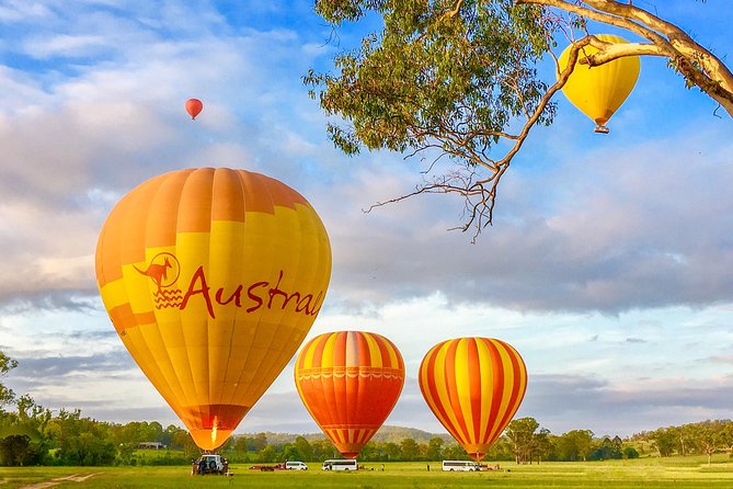 Hot Air Balloon Flight Brisbane with Vineyard Breakfast - Why this Scenic Rim balloon flight works so well