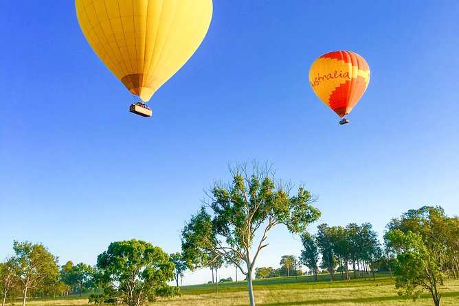 Hot Air Balloon Flight Brisbane with Vineyard Breakfast - Helping fold the balloon after landing