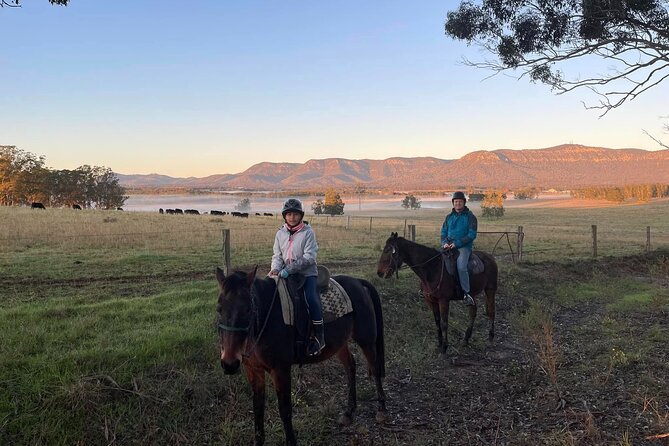 Hunter Valley Horse Ride - 90 Minutes -Vineyard & Mountain Views - What the Trail Style Means for You