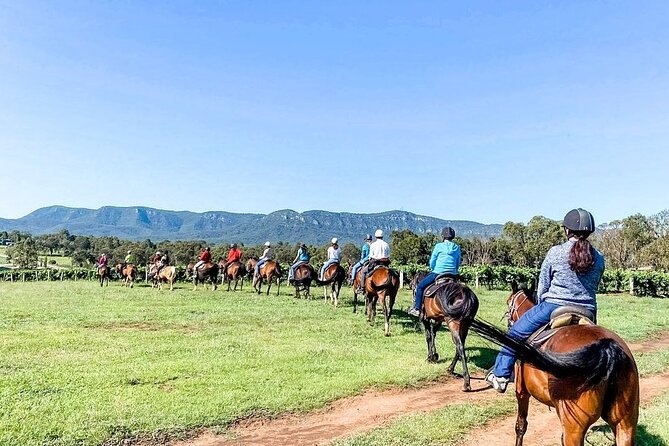 Hunter Valley Horse Ride - 90 Minutes -Vineyard & Mountain Views - Horses and Staff Set the Tone